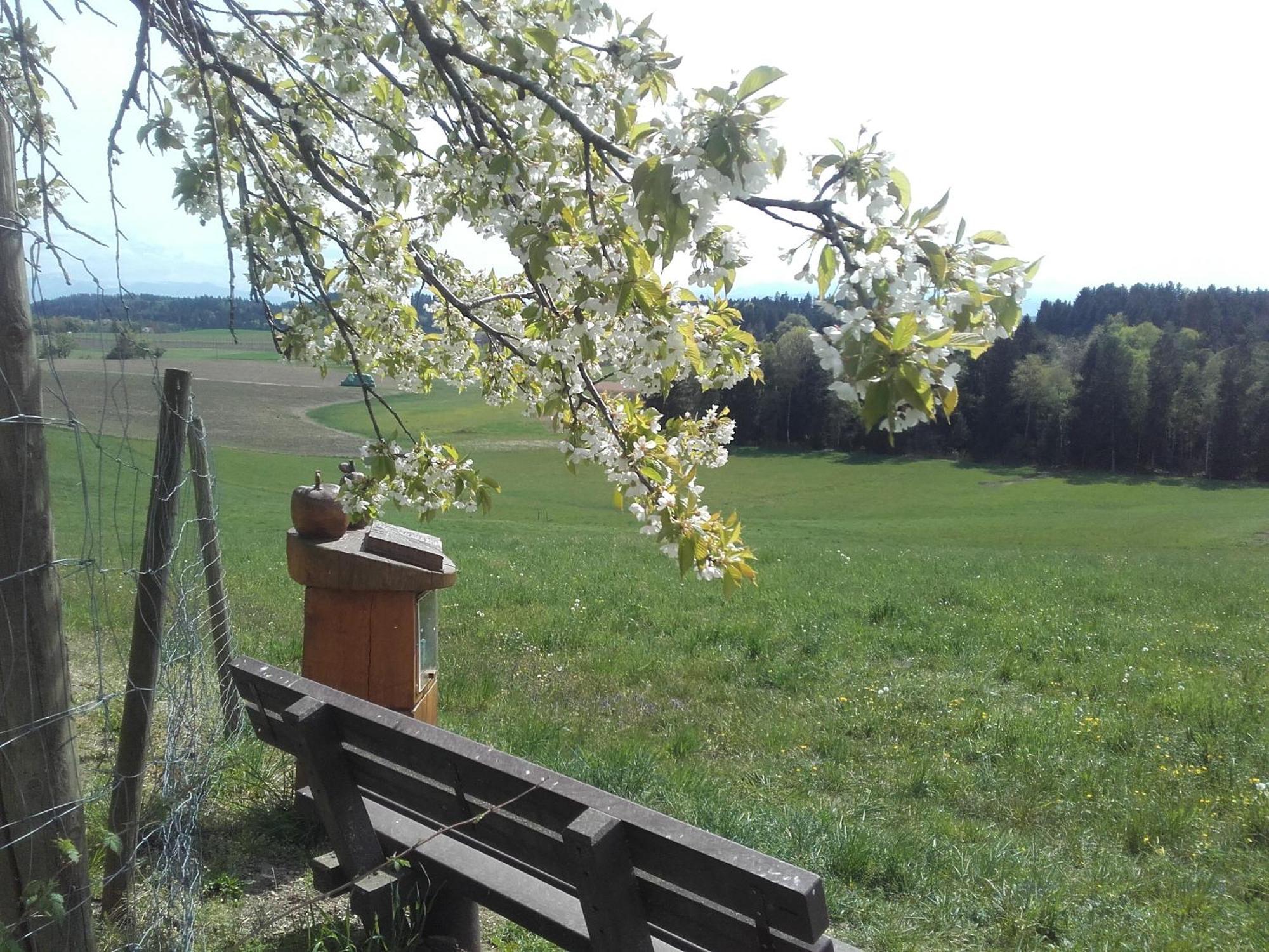 Ferienhof Metzler Bodnegg Екстериор снимка