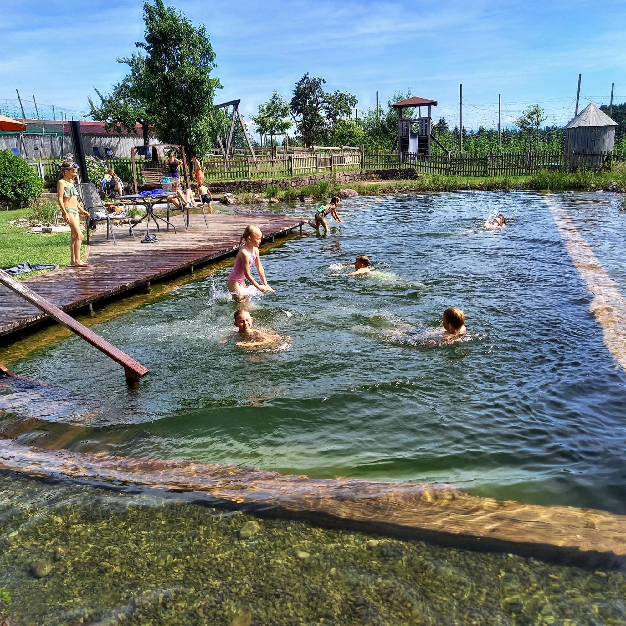 Ferienhof Metzler Bodnegg Екстериор снимка